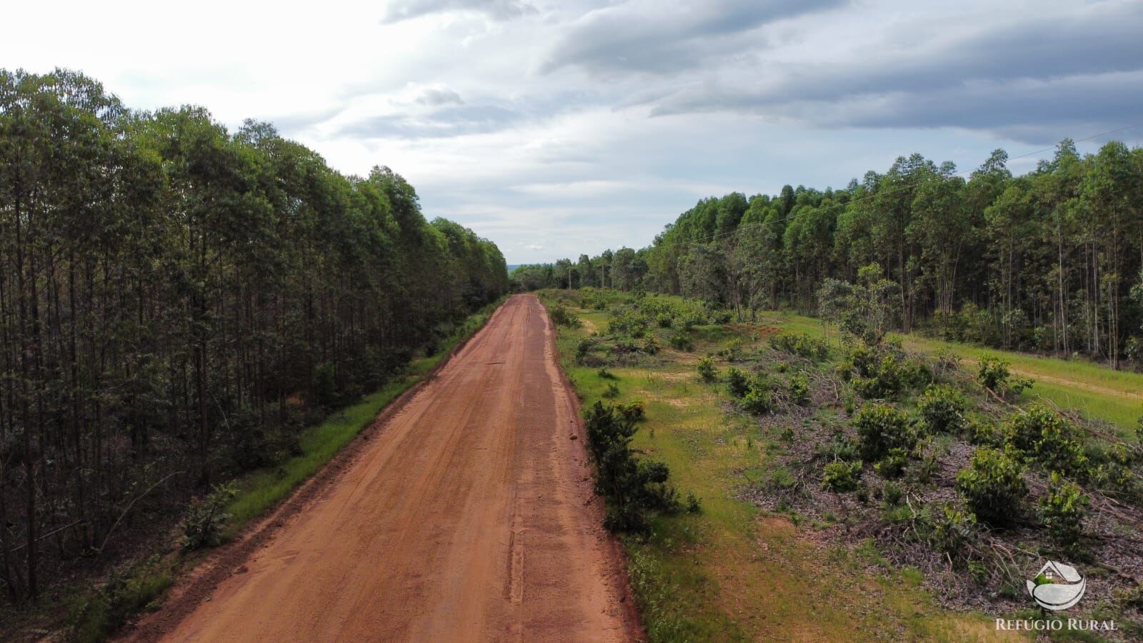 Fazenda à venda com 1 quarto, 81000000m² - Foto 4