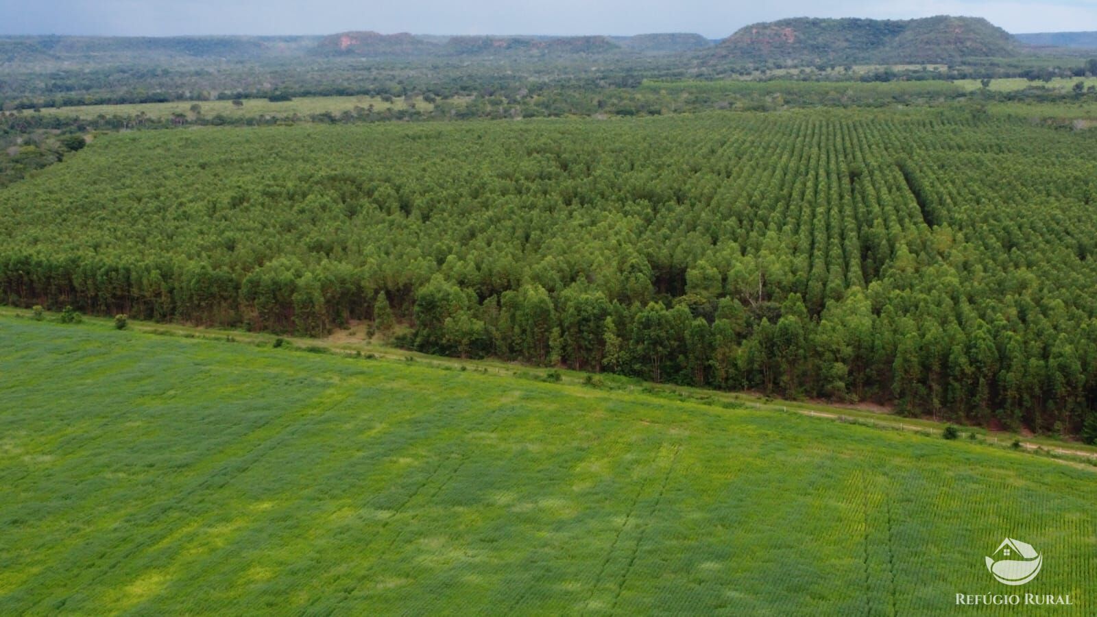 Fazenda à venda com 1 quarto, 81000000m² - Foto 1