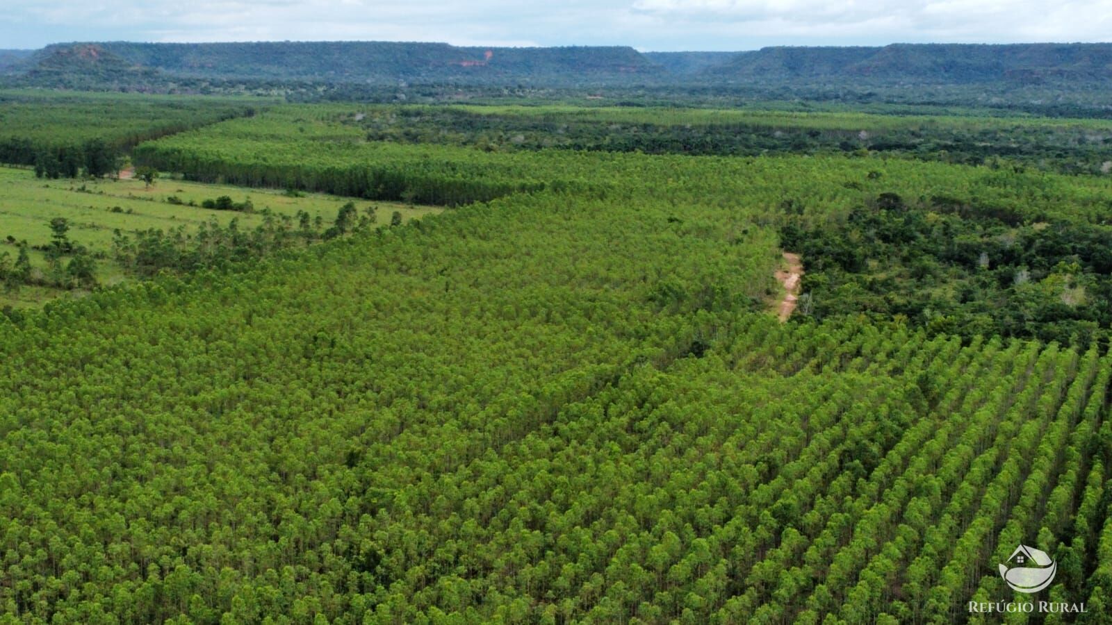 Fazenda à venda com 1 quarto, 81000000m² - Foto 3