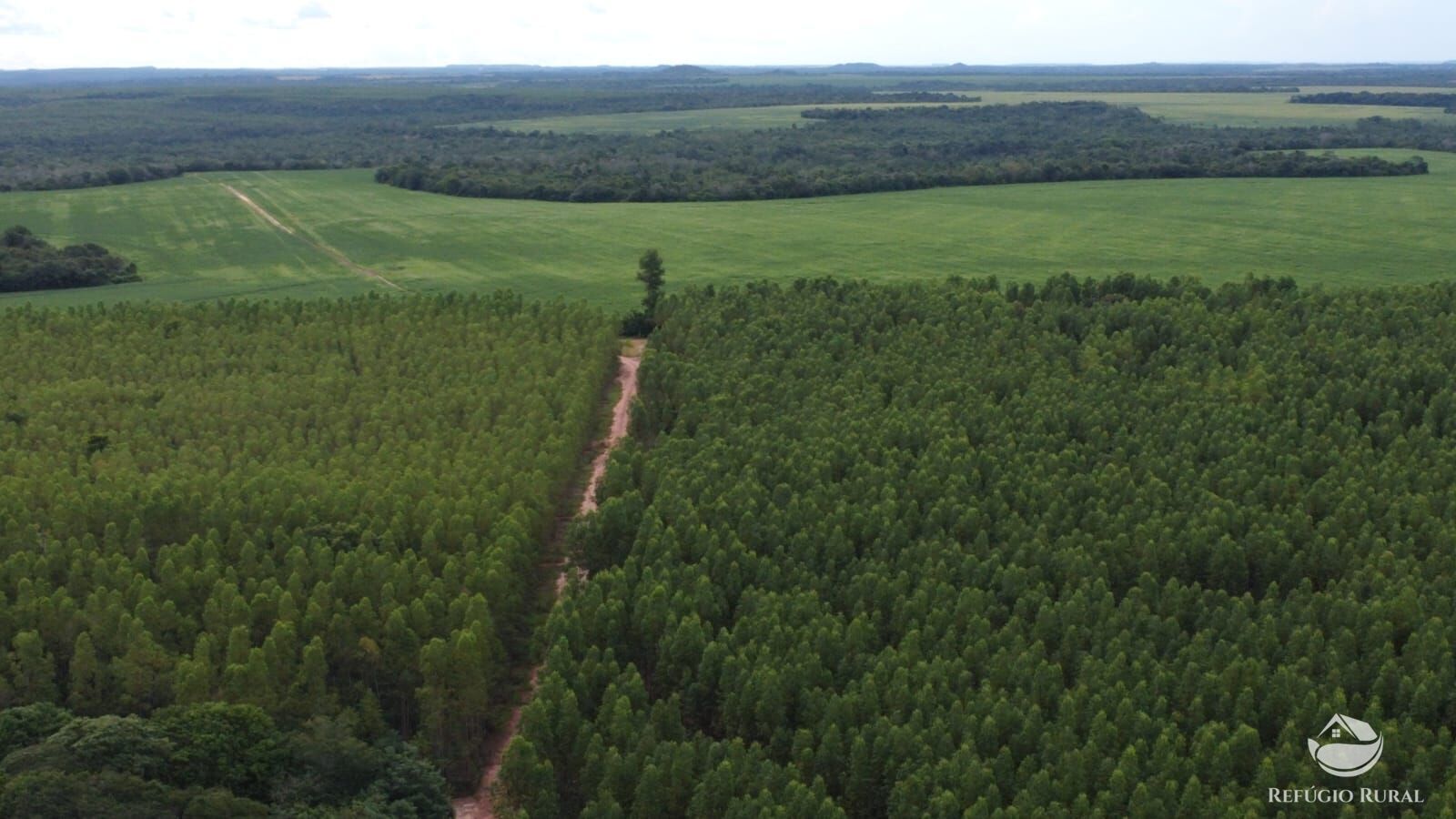 Fazenda à venda com 1 quarto, 81000000m² - Foto 5