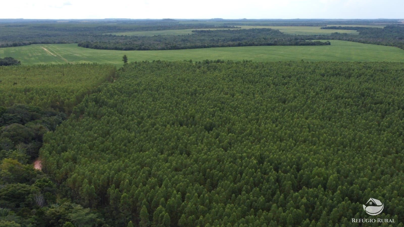 Fazenda à venda com 1 quarto, 81000000m² - Foto 8