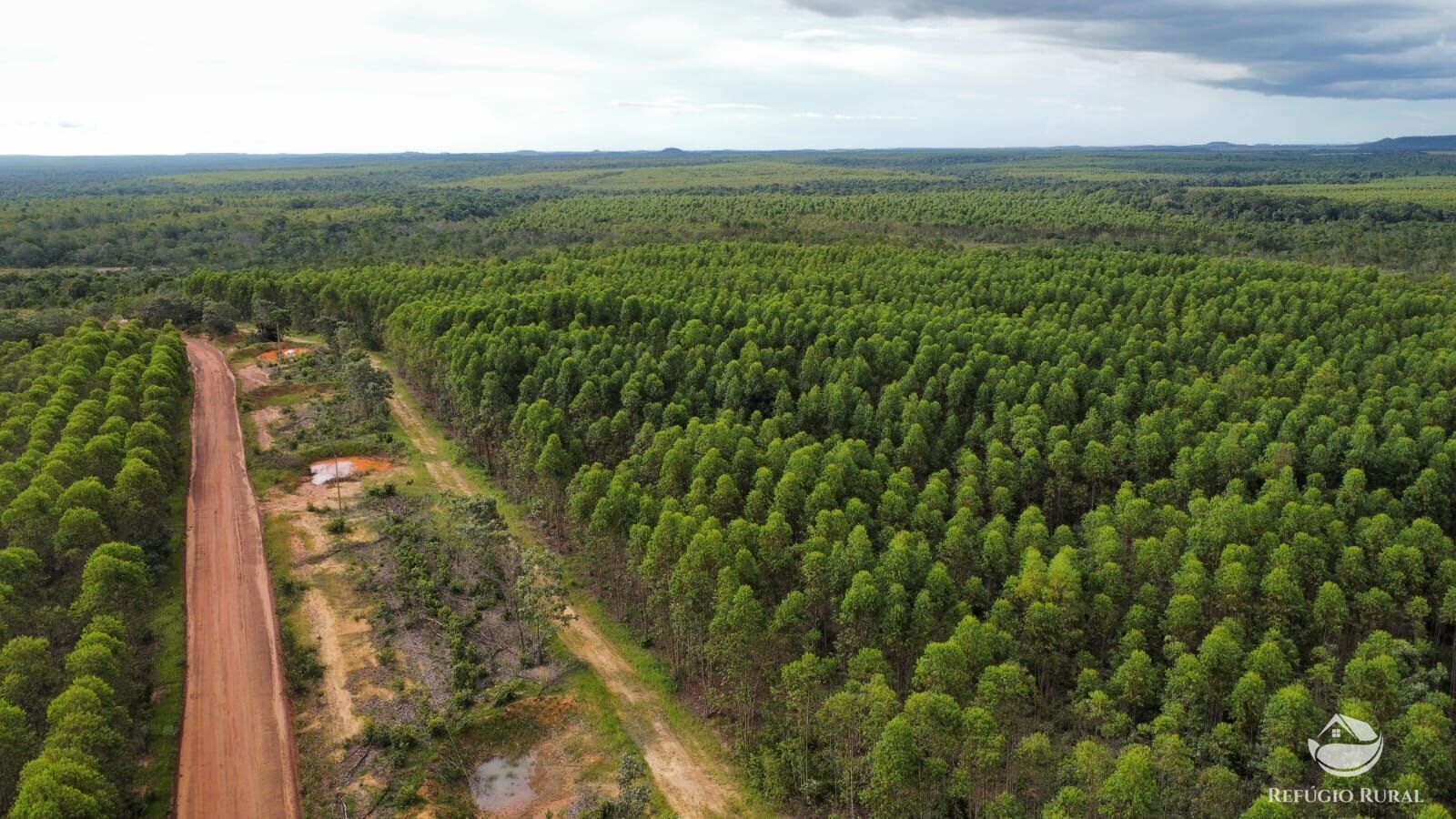 Fazenda à venda com 1 quarto, 81000000m² - Foto 6