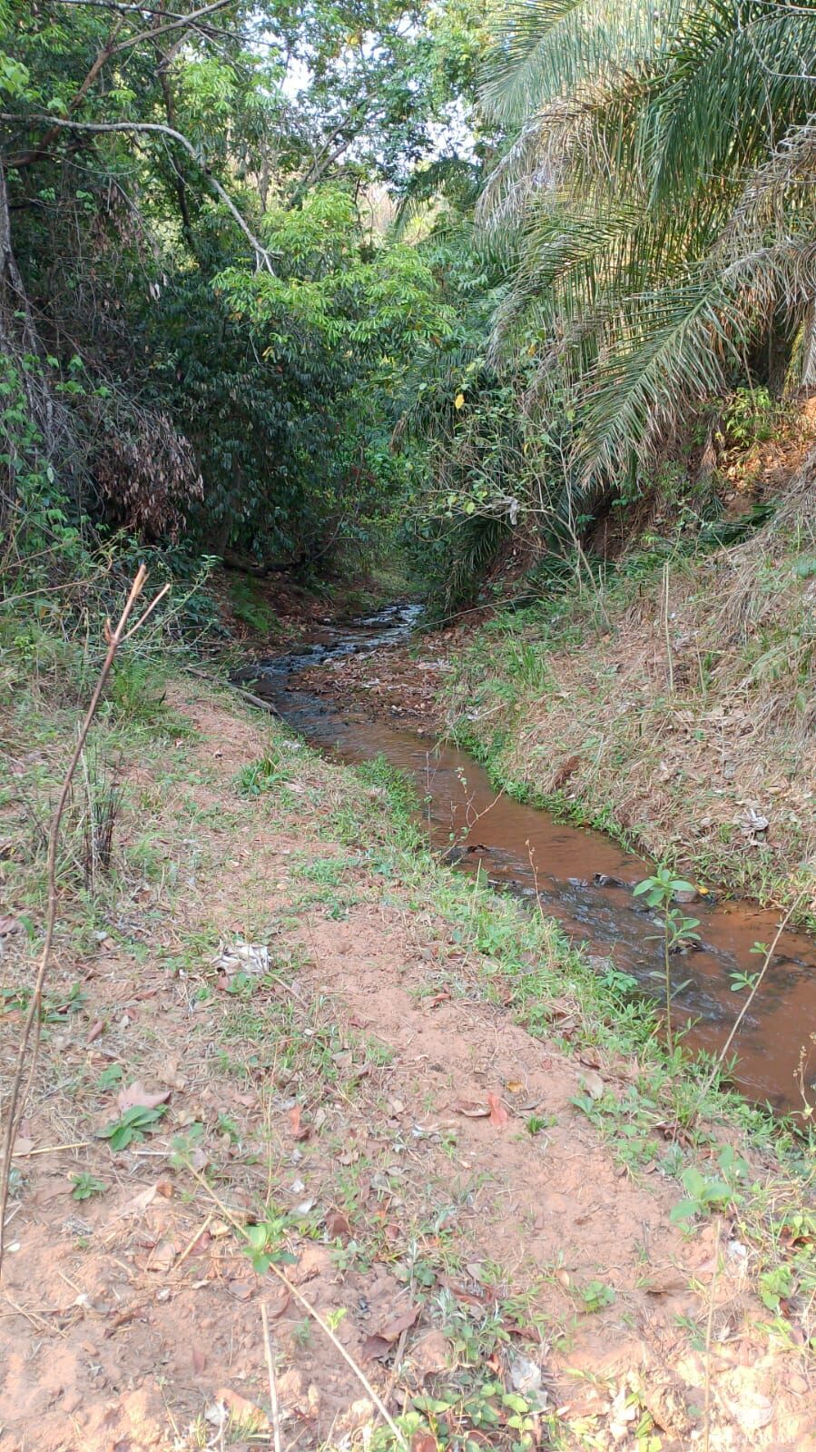 Fazenda à venda com 2 quartos, 1350000m² - Foto 2