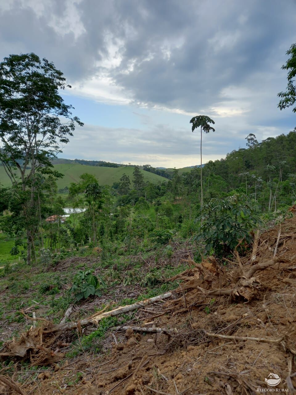 Terreno à venda, 22000m² - Foto 4