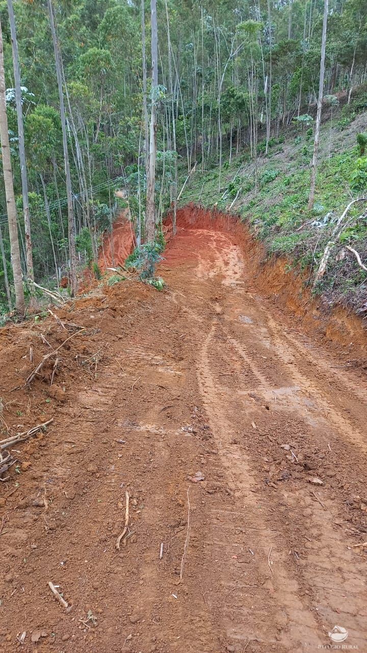 Terreno à venda, 22000m² - Foto 11