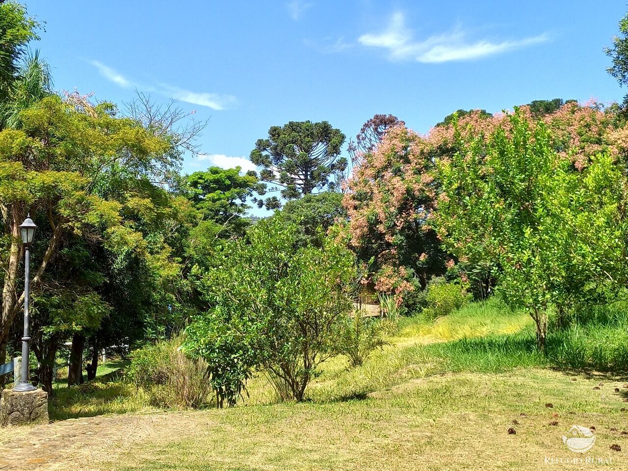 Hotel à venda com 14 quartos, 96800m² - Foto 8