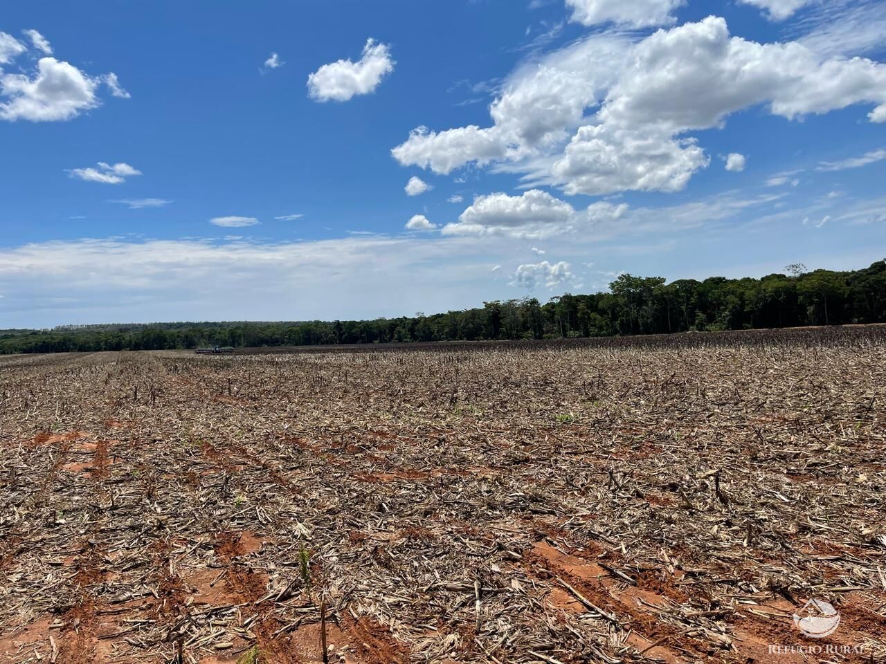 Fazenda em Sinop/Mato Grosso — Ref J73ALT — Imagem 8