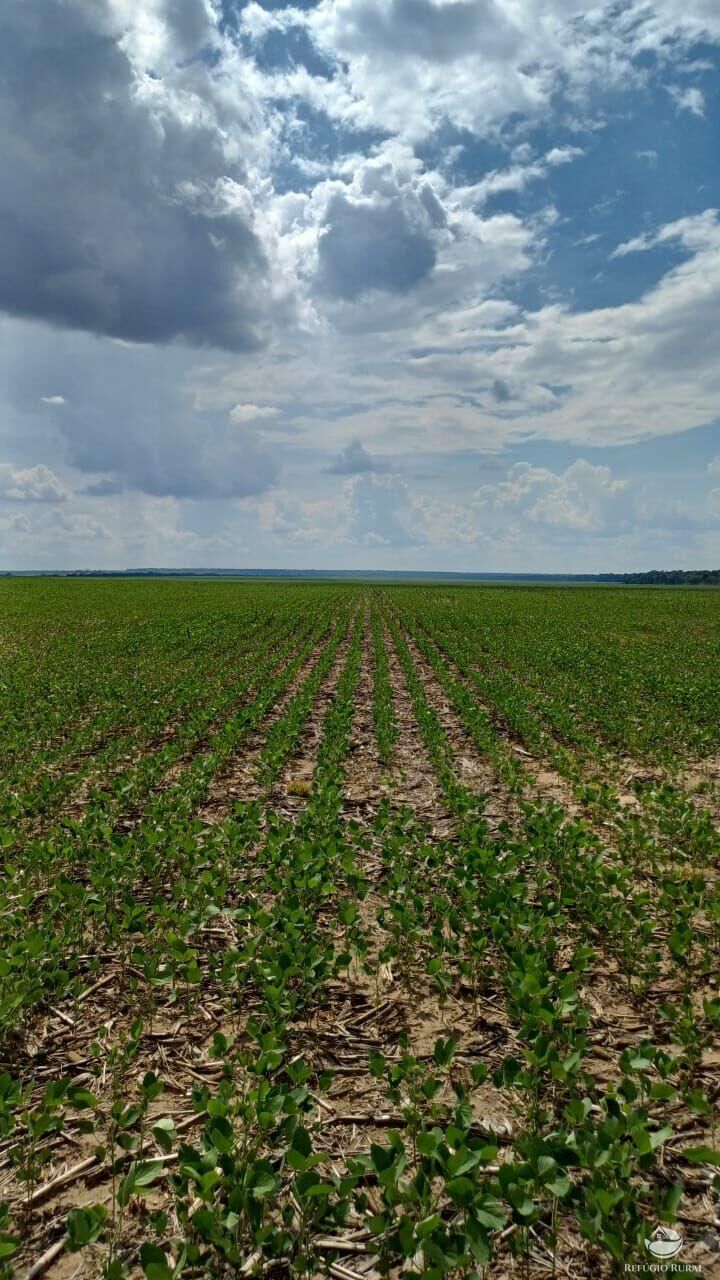Fazenda em Sinop/Mato Grosso — Ref J73ALT — Imagem 2