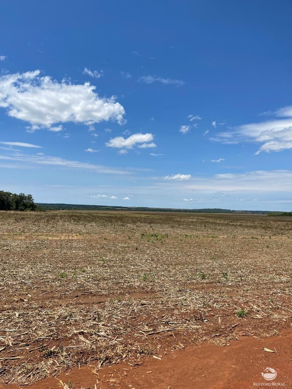 Fazenda em Sinop/Mato Grosso — Ref J73ALT — Imagem 7