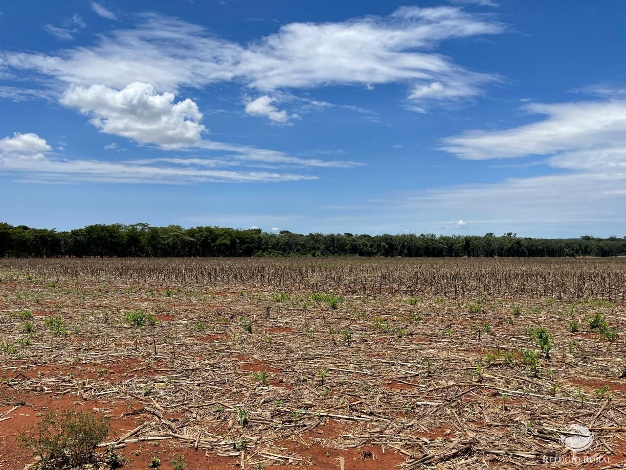 Fazenda em Sinop/Mato Grosso — Ref J73ALT — Imagem 6