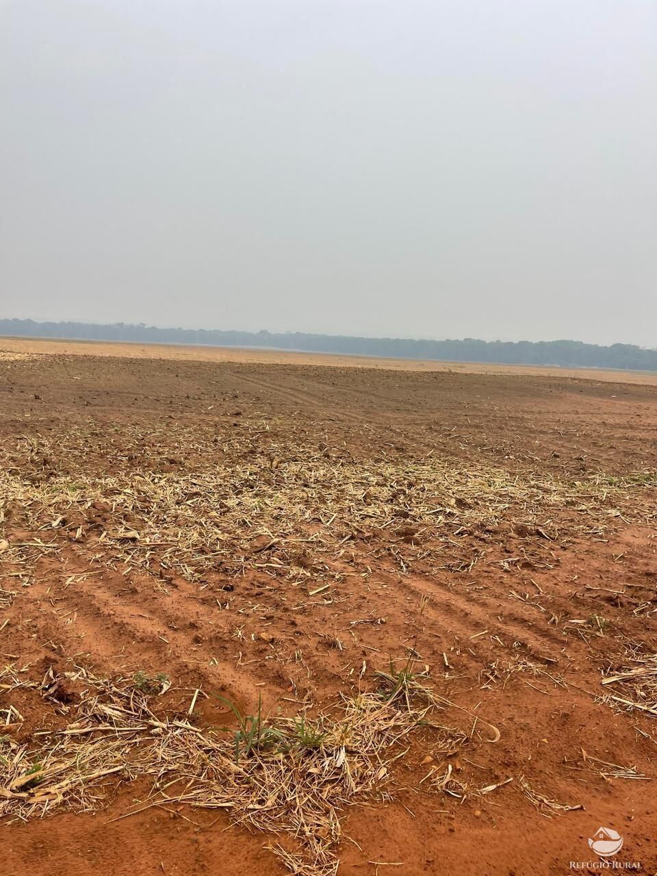 Fazenda em Sinop/Mato Grosso — Ref J73ALT — Imagem 9