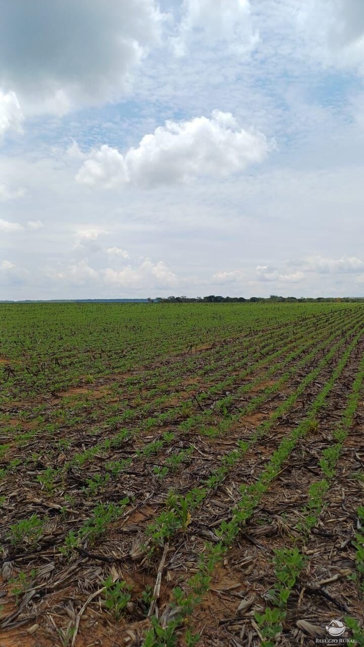 Fazenda em Sinop/Mato Grosso — Ref J73ALT — Imagem 3
