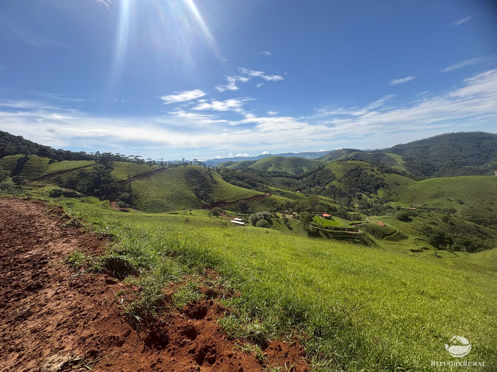 Terreno, 10 hectares - Foto 6