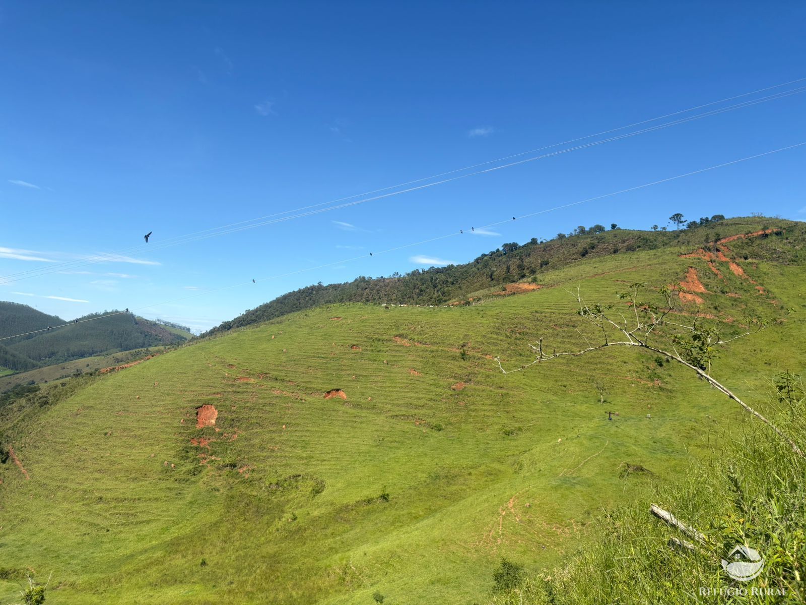 Terreno, 10 hectares - Foto 13