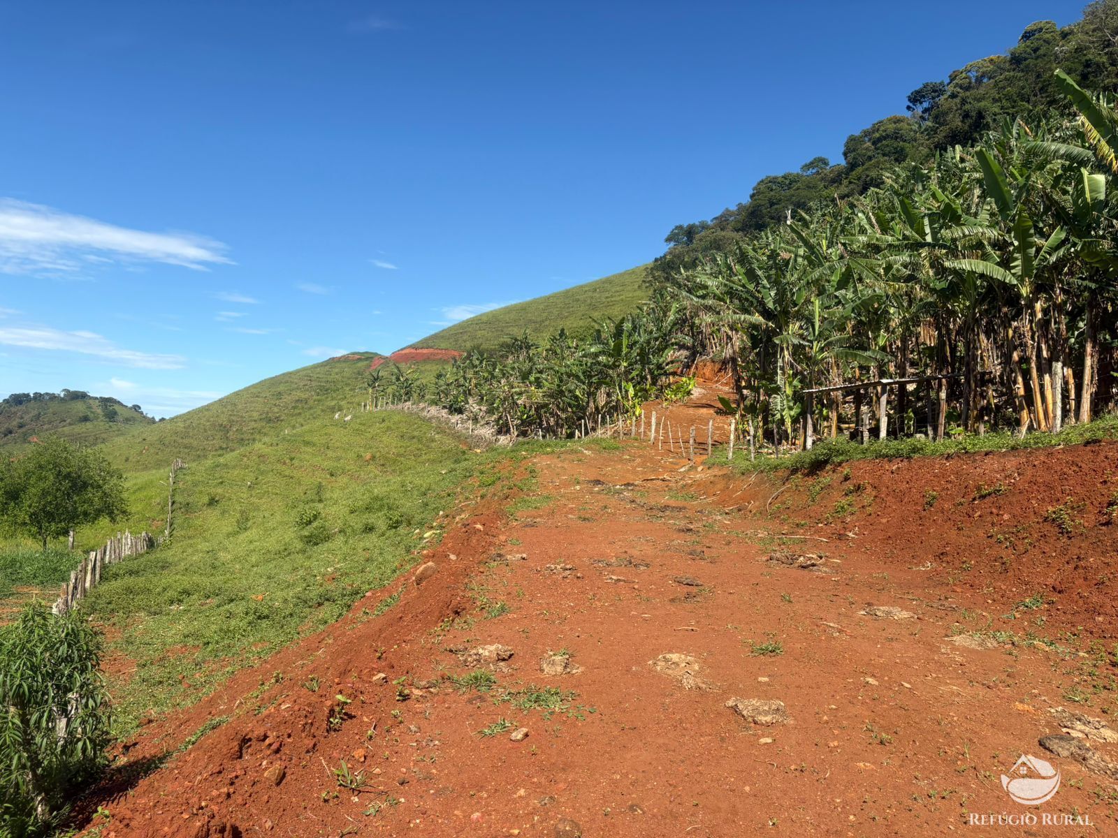 Terreno, 10 hectares - Foto 15