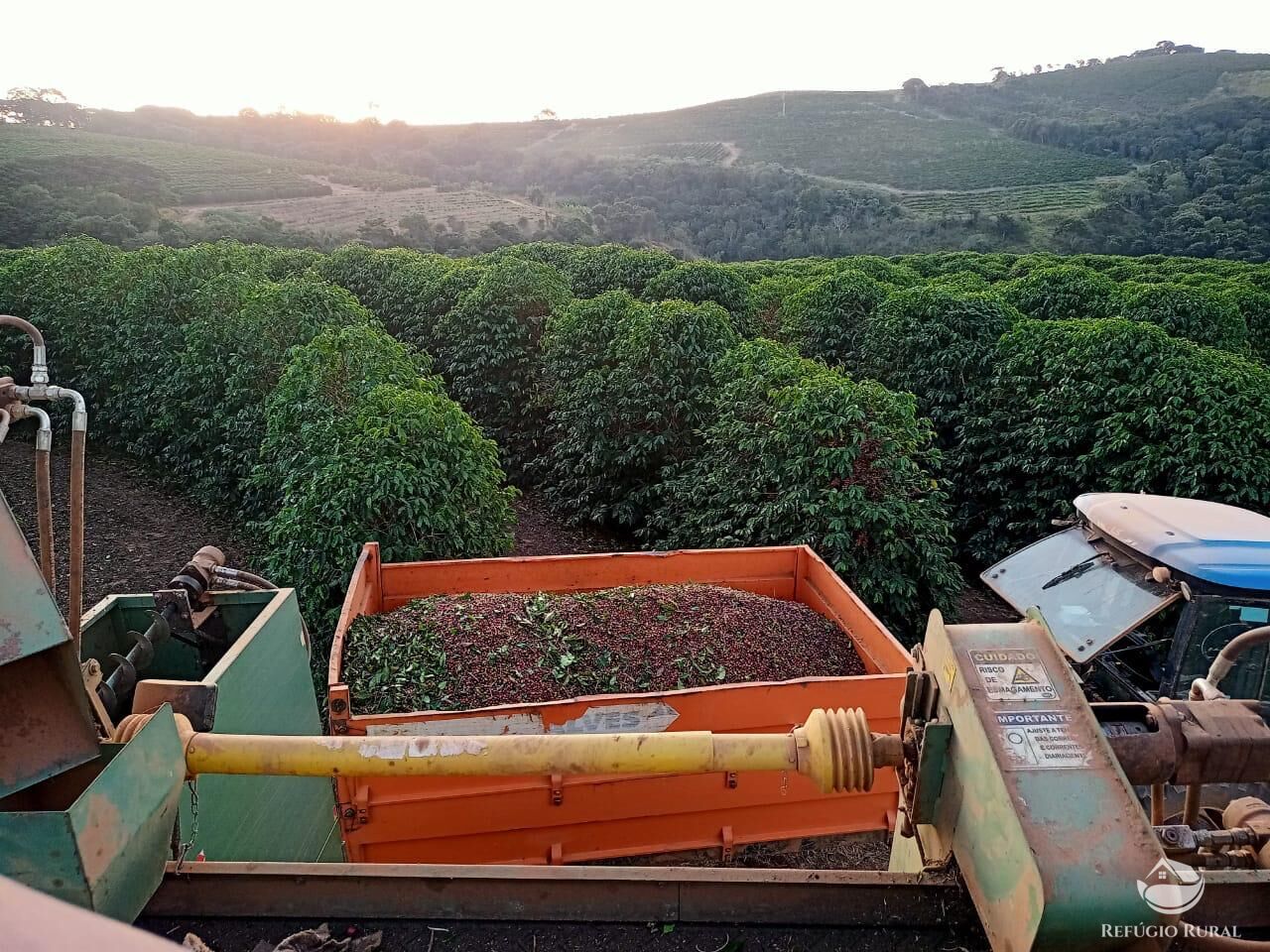 Fazenda à venda com 3 quartos, 2390000m² - Foto 1