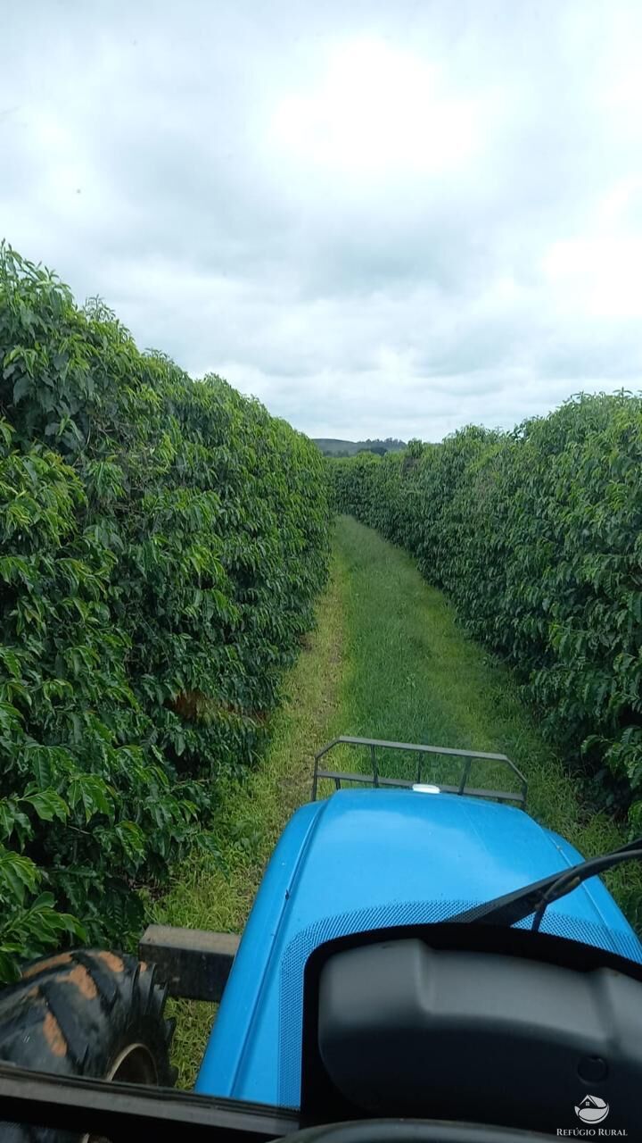 Fazenda à venda com 3 quartos, 2390000m² - Foto 13