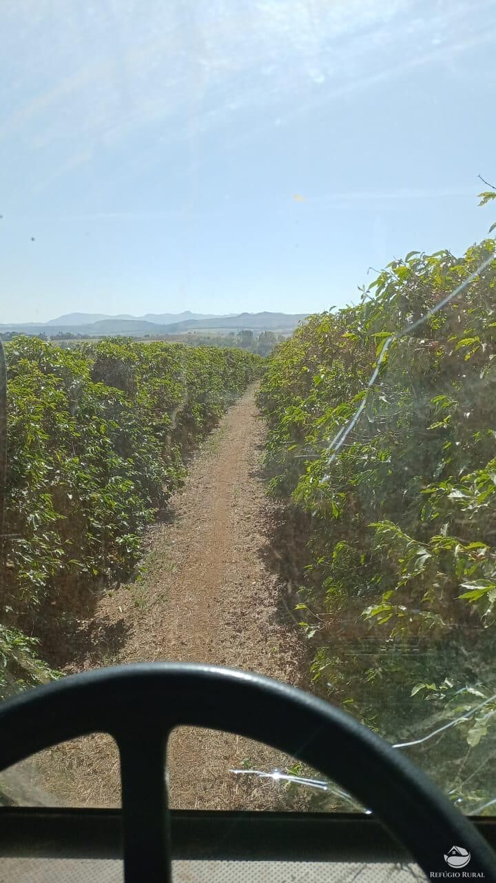 Fazenda à venda com 3 quartos, 2390000m² - Foto 15