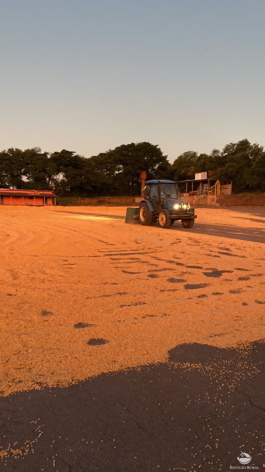 Fazenda à venda com 3 quartos, 2390000m² - Foto 16