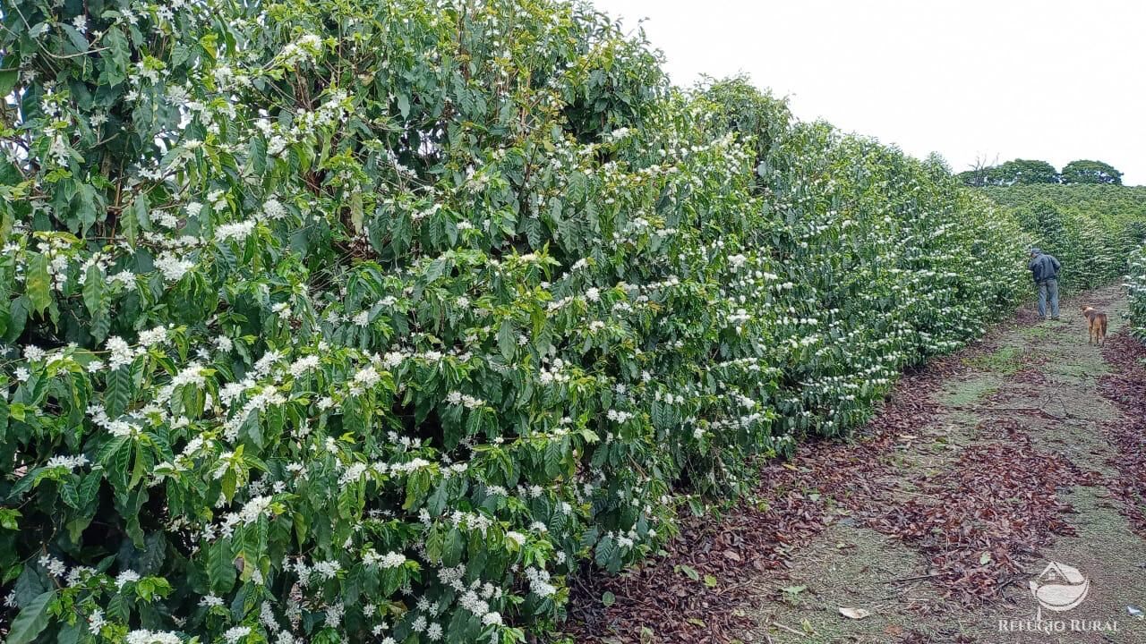 Fazenda à venda com 3 quartos, 2390000m² - Foto 12