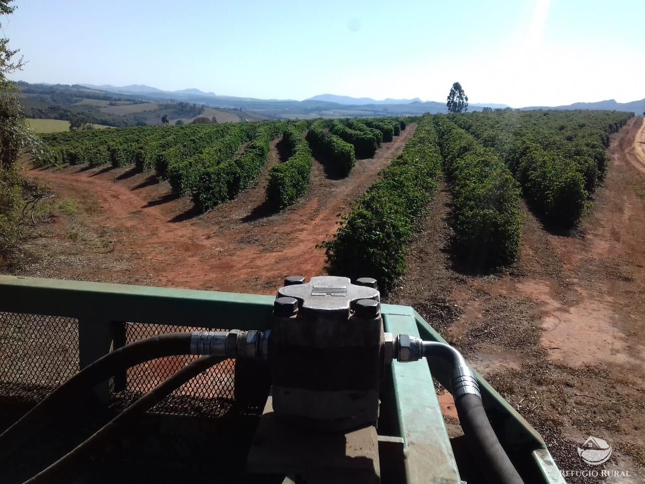 Fazenda à venda com 3 quartos, 2390000m² - Foto 4