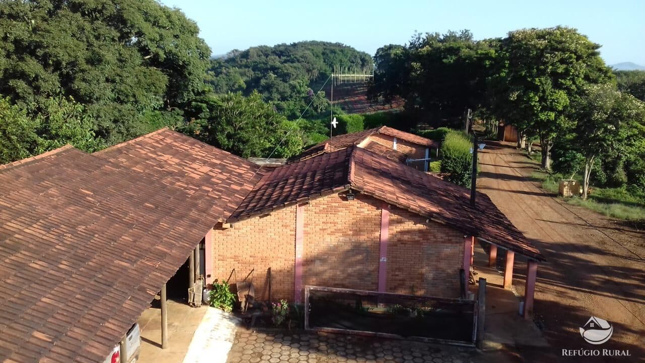 Fazenda à venda com 3 quartos, 2390000m² - Foto 10