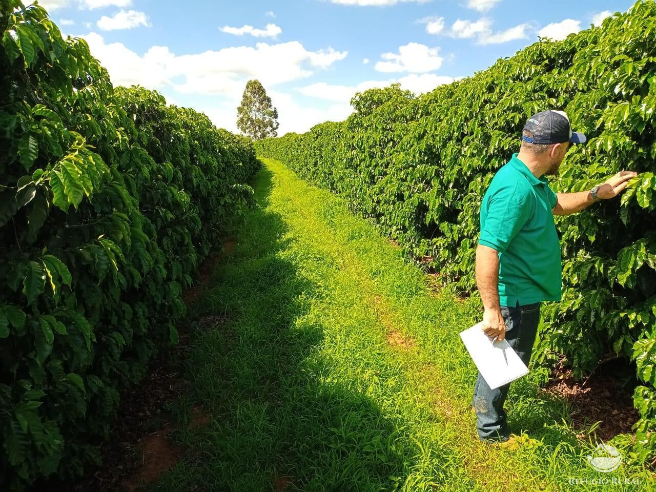 Fazenda à venda com 3 quartos, 2390000m² - Foto 3