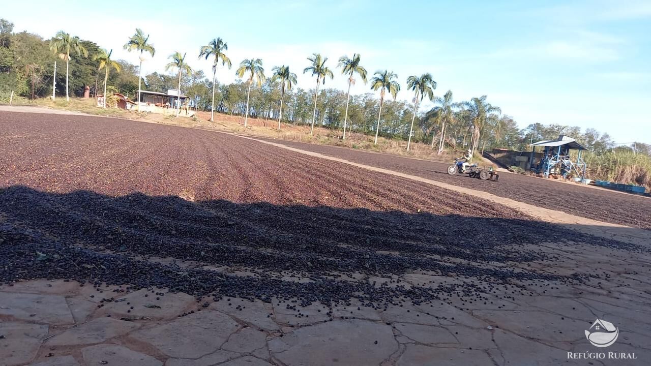 Fazenda à venda com 3 quartos, 2390000m² - Foto 2