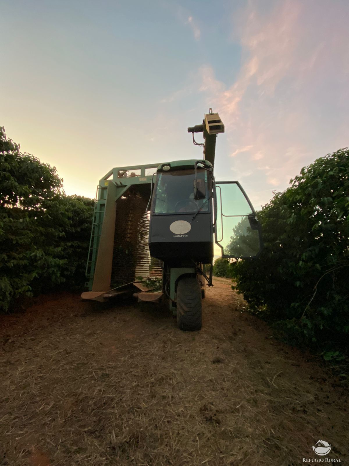 Fazenda à venda com 3 quartos, 2390000m² - Foto 5