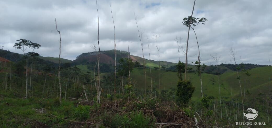 Terreno de 2 ha em Monteiro Lobato, SP