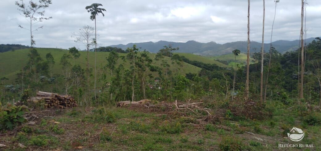 Terreno à venda, 20000m² - Foto 1