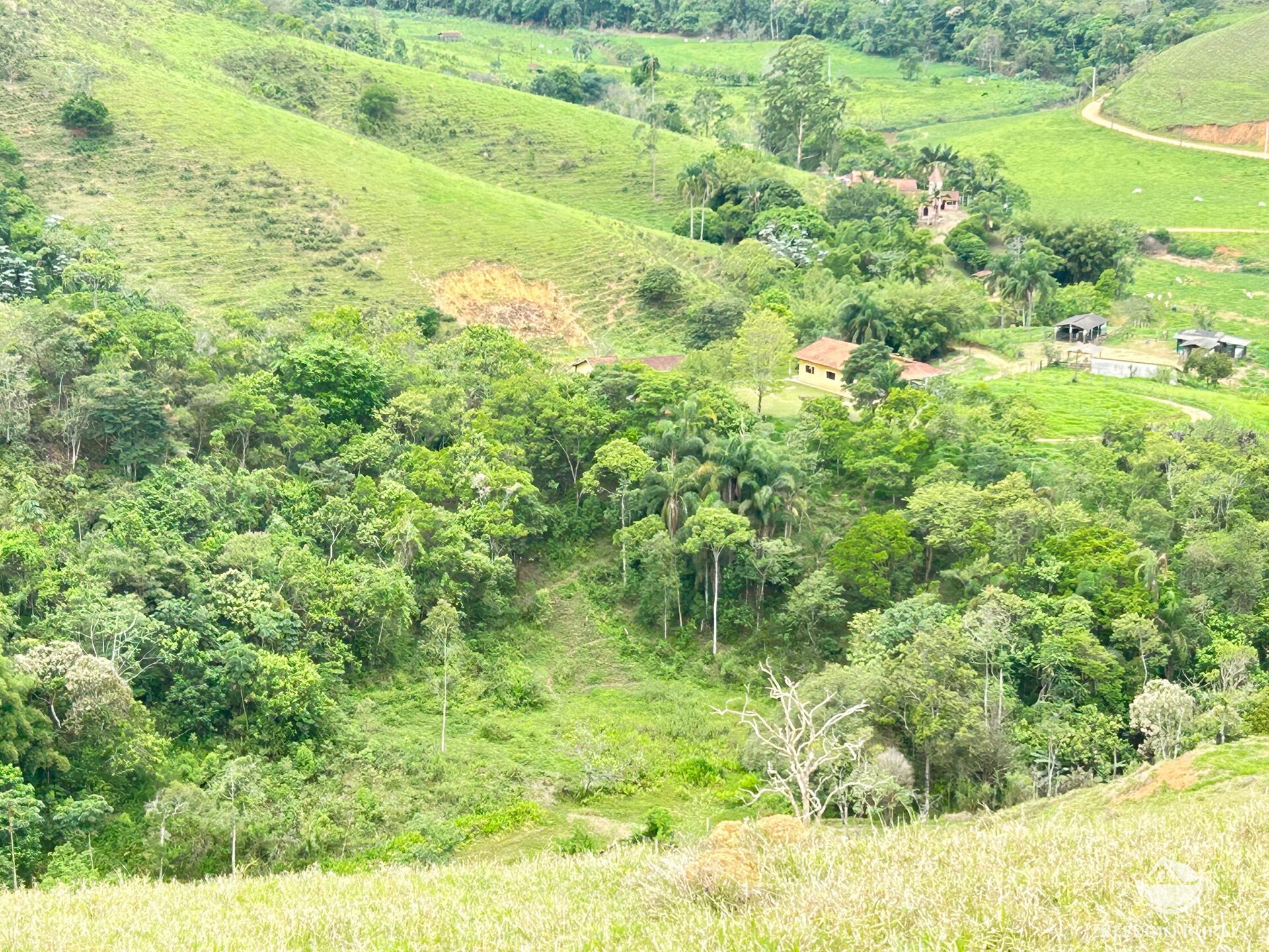 Terreno à venda, 20000m² - Foto 7