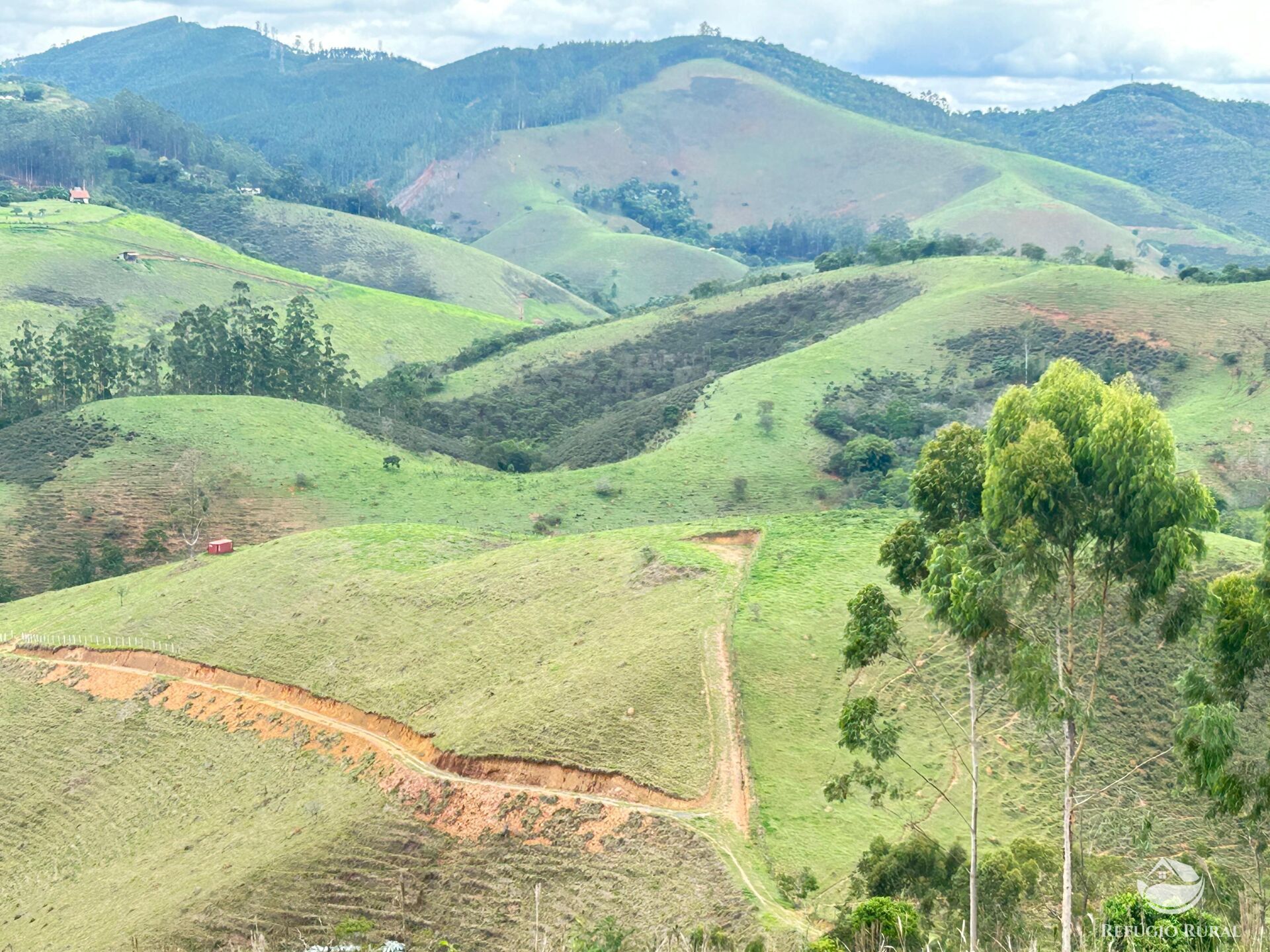 Terreno à venda, 20000m² - Foto 1