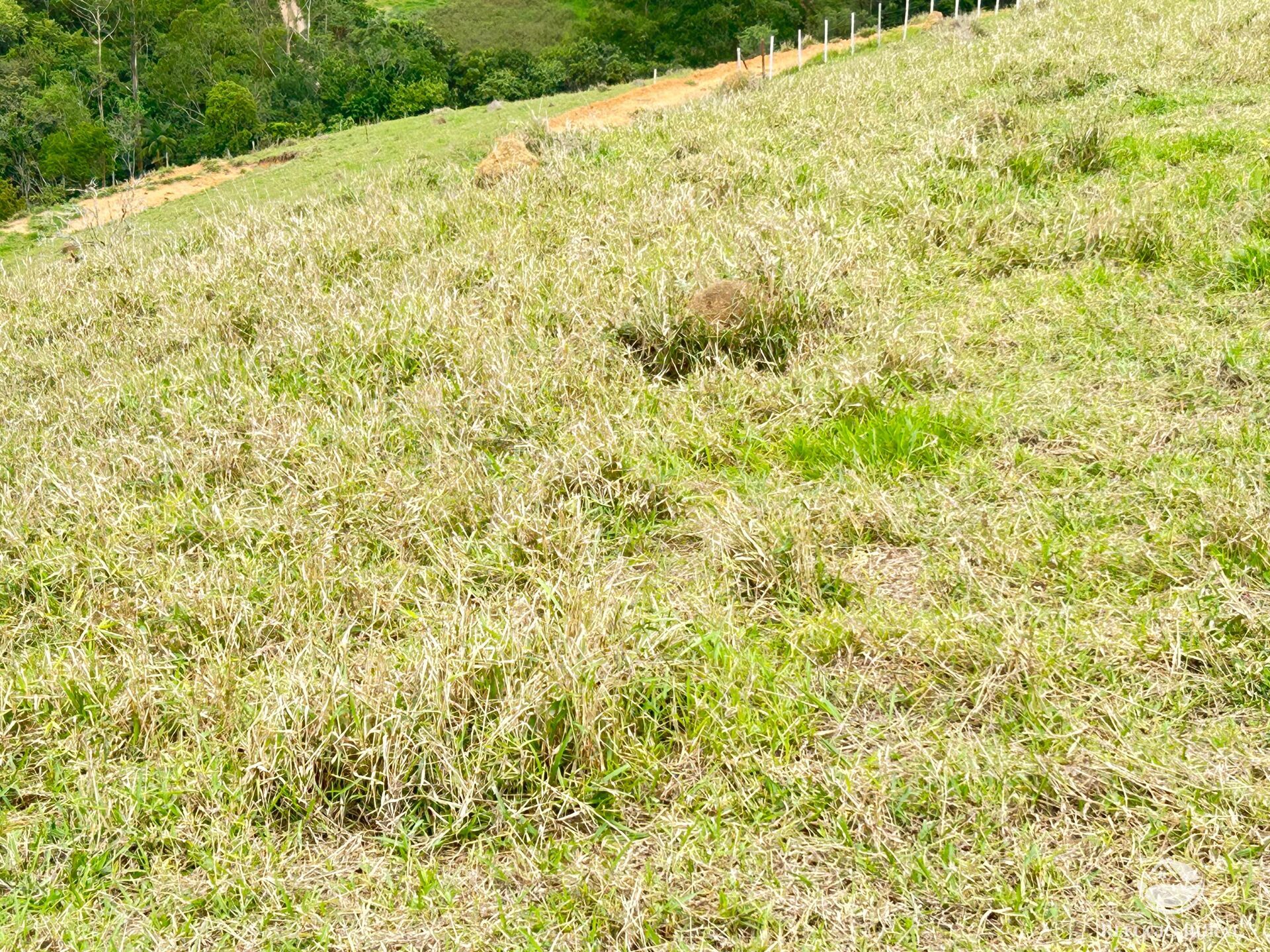 Terreno à venda, 20000m² - Foto 5