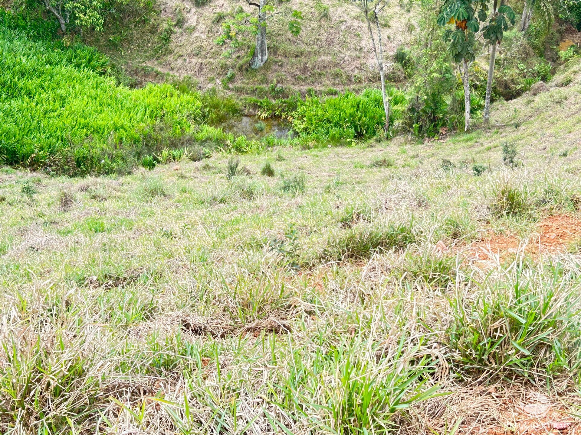 Terreno à venda, 20000m² - Foto 12