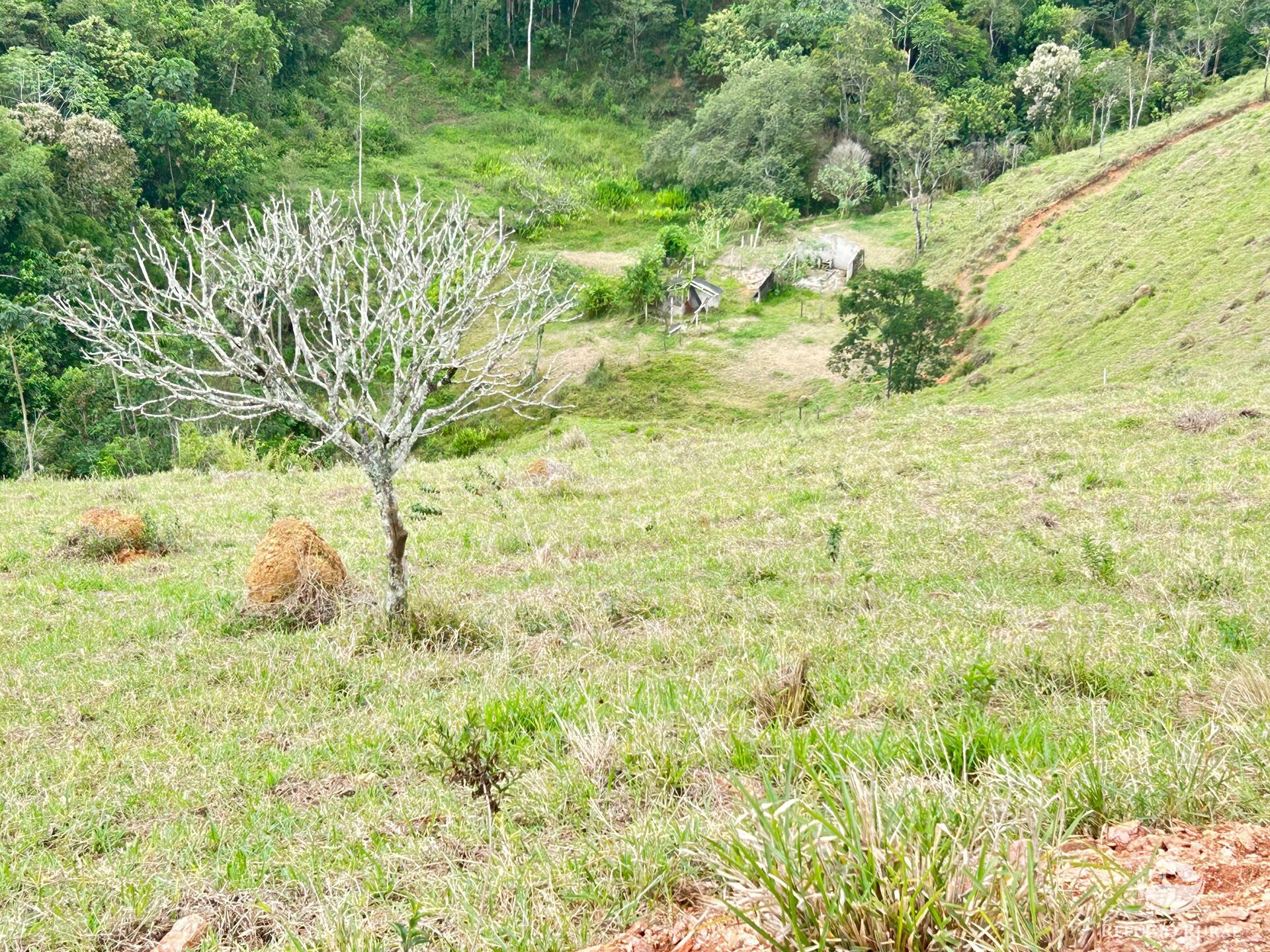 Terreno à venda, 20000m² - Foto 3