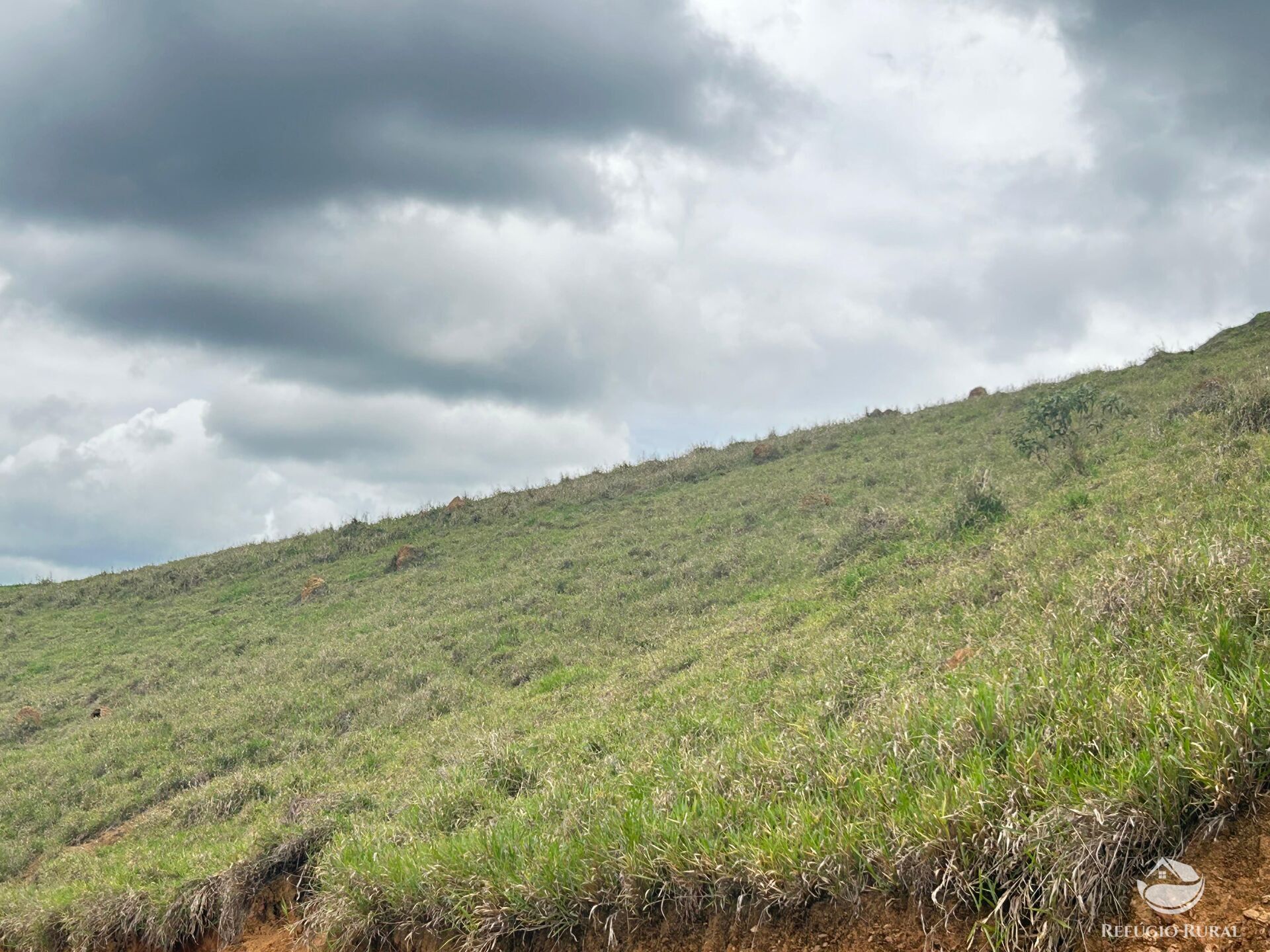 Terreno à venda, 20000m² - Foto 4