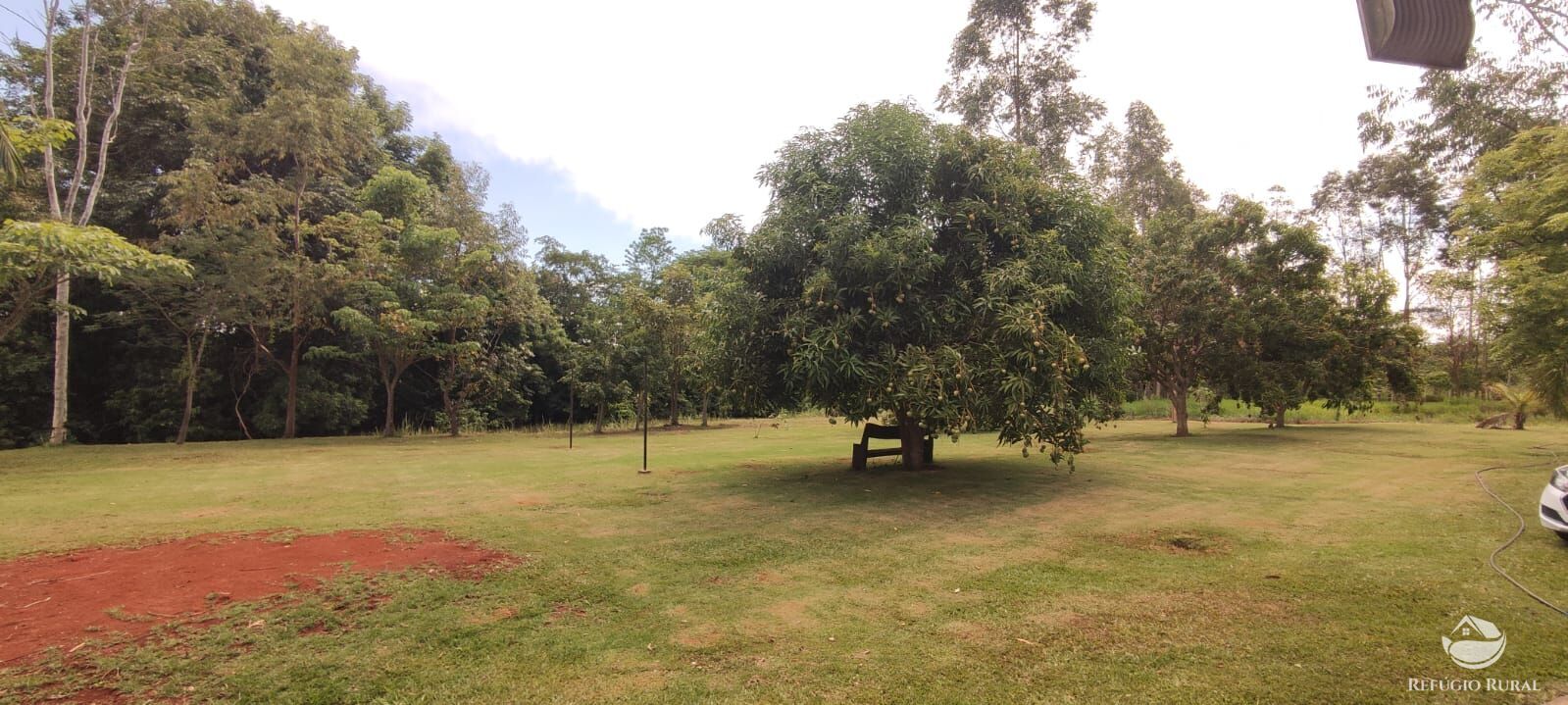 Chácara, 1 quarto, 3600 m² - Foto 6