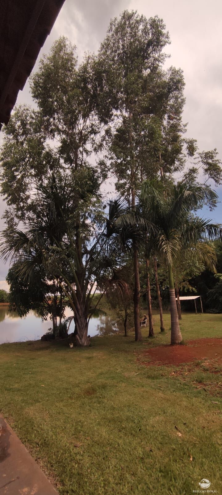 Chácara, 1 quarto, 3600 m² - Foto 8