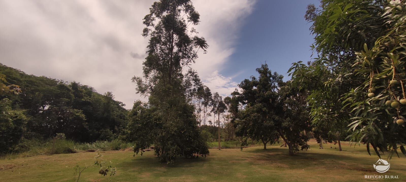 Chácara, 1 quarto, 3600 m² - Foto 10