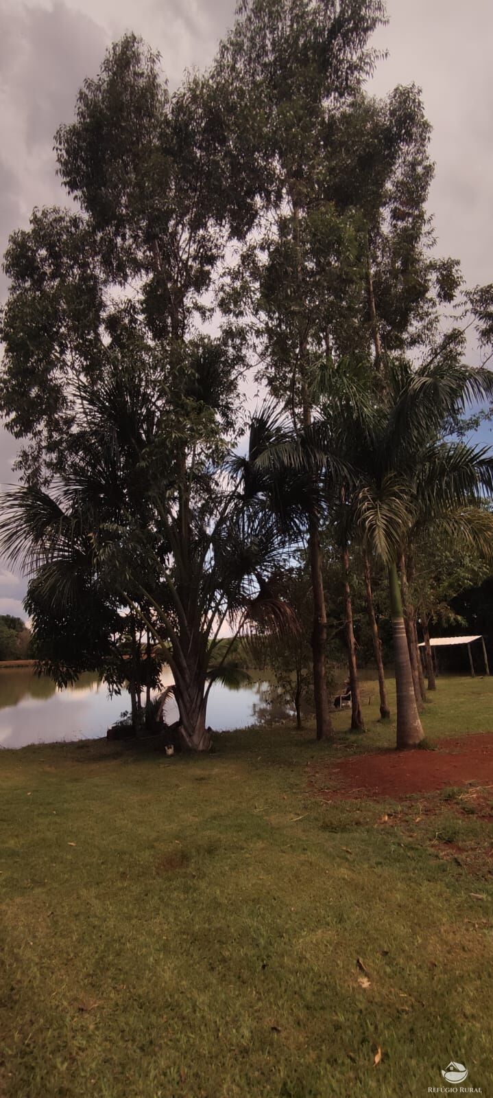 Chácara, 1 quarto, 3600 m² - Foto 12