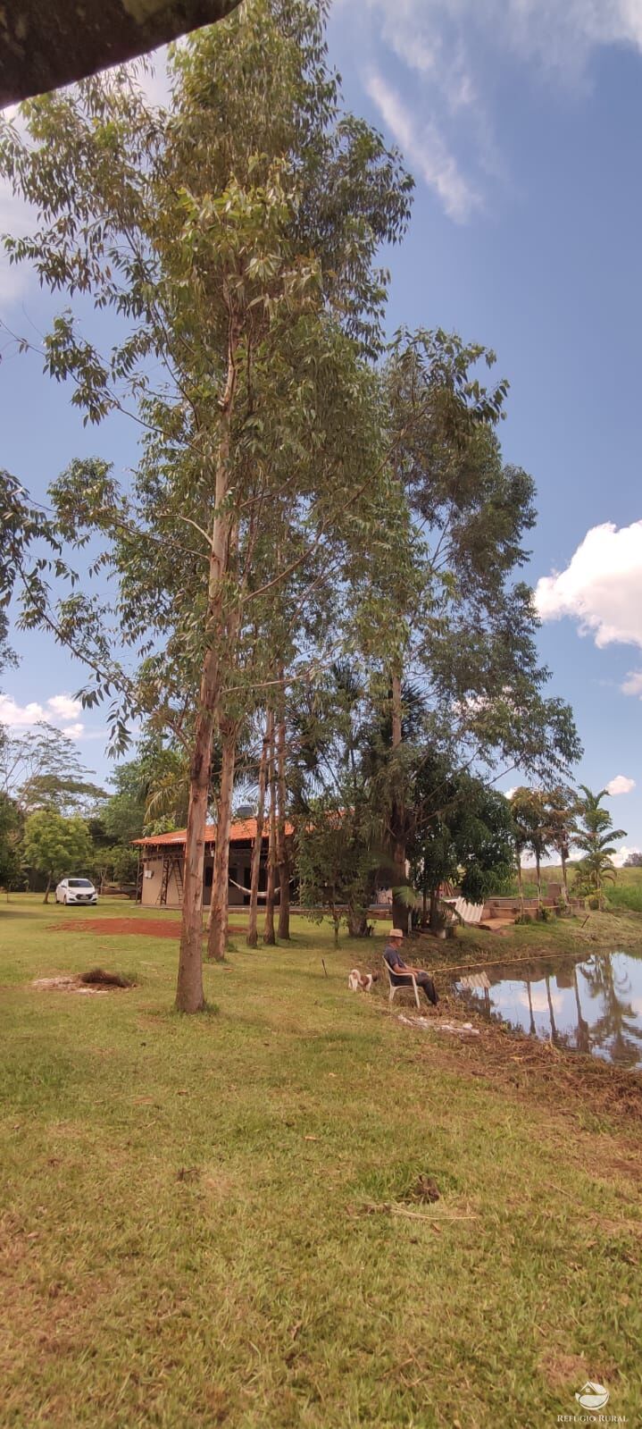 Chácara, 1 quarto, 3600 m² - Foto 2