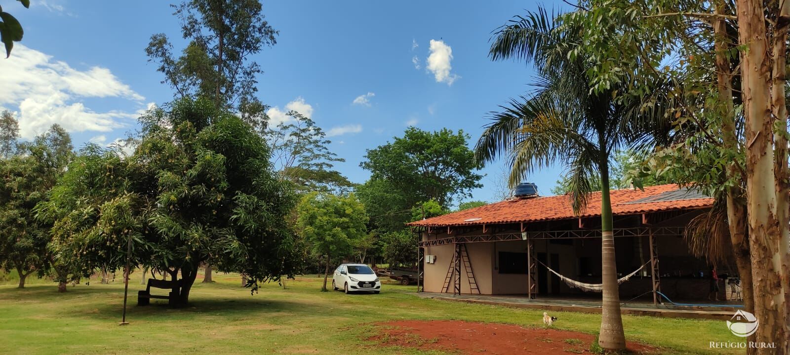 Chácara, 1 quarto, 3600 m² - Foto 5