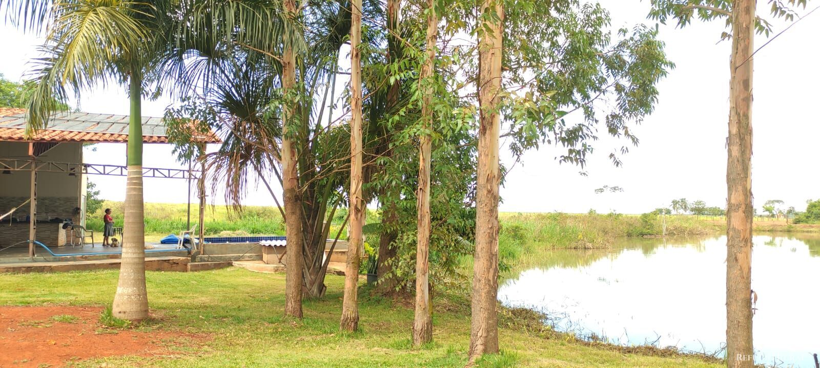 Chácara, 1 quarto, 3600 m² - Foto 14