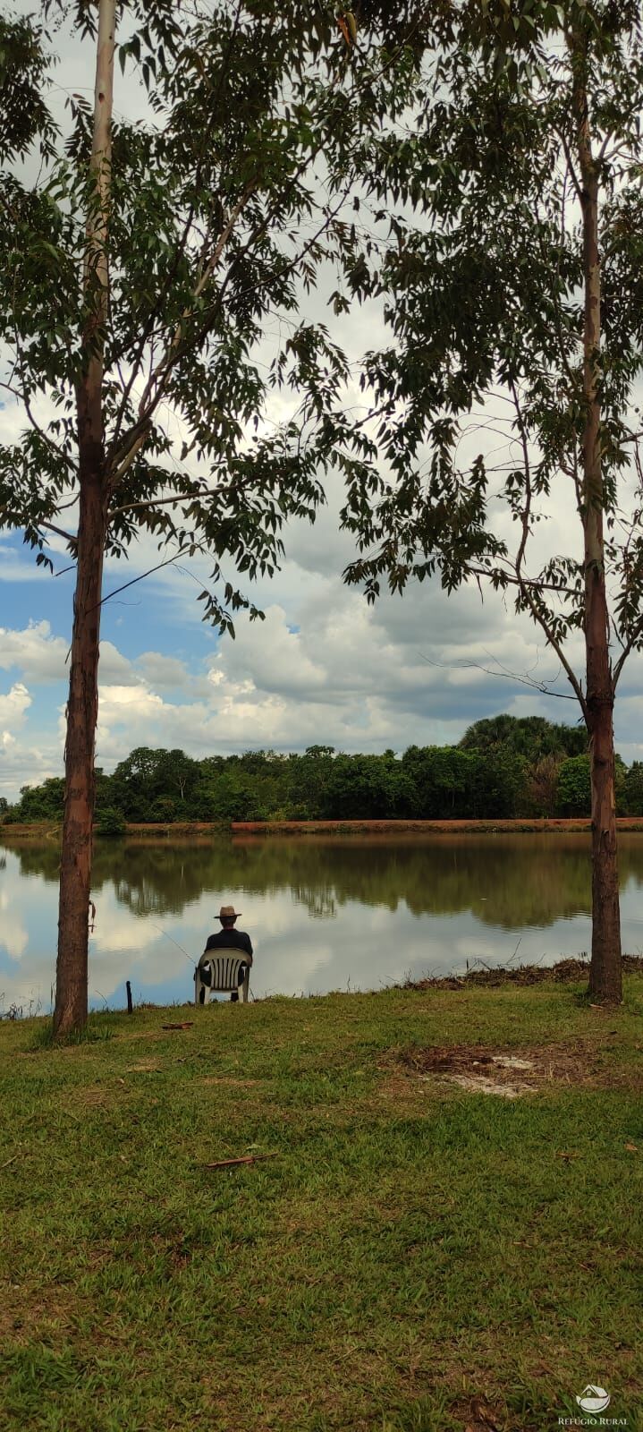 Chácara, 1 quarto, 3600 m² - Foto 13