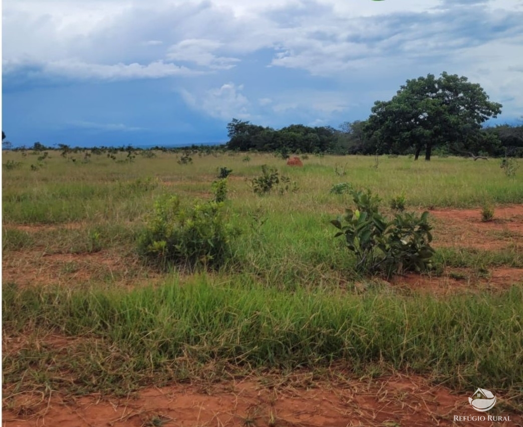 Fazenda à venda com 1 quarto, 22000000m² - Foto 3