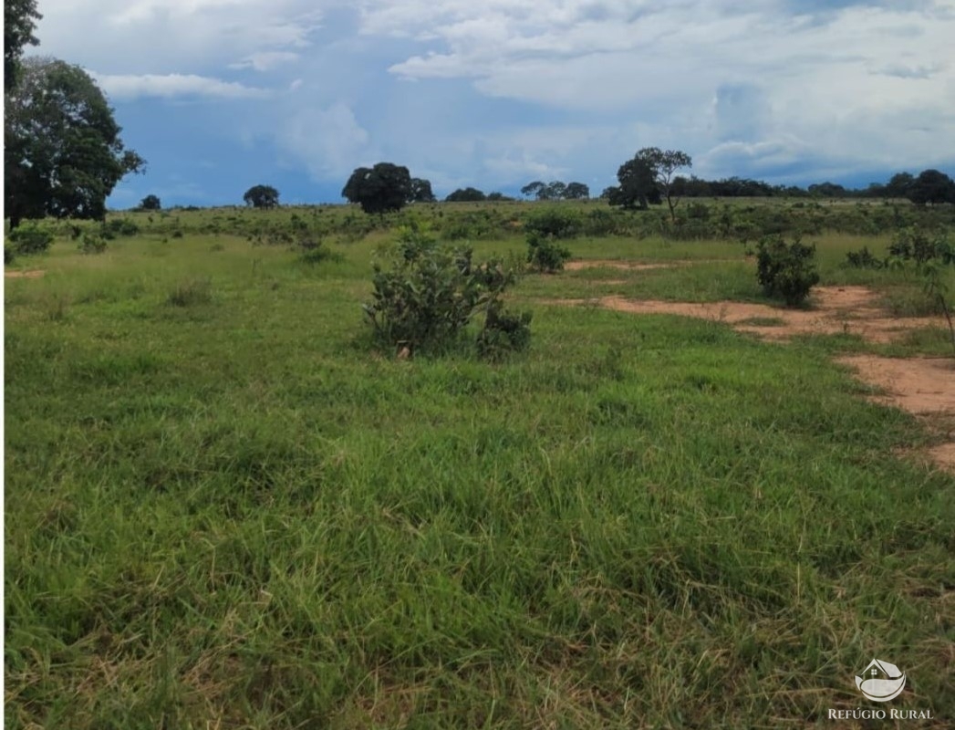 Fazenda à venda com 1 quarto, 22000000m² - Foto 4