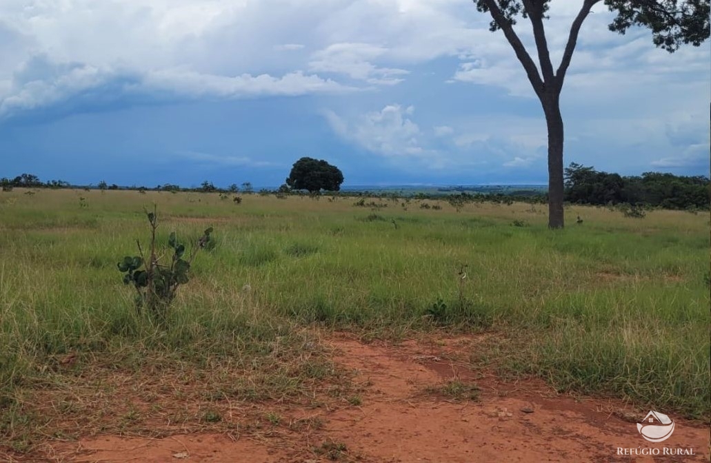 Fazenda à venda com 1 quarto, 22000000m² - Foto 1