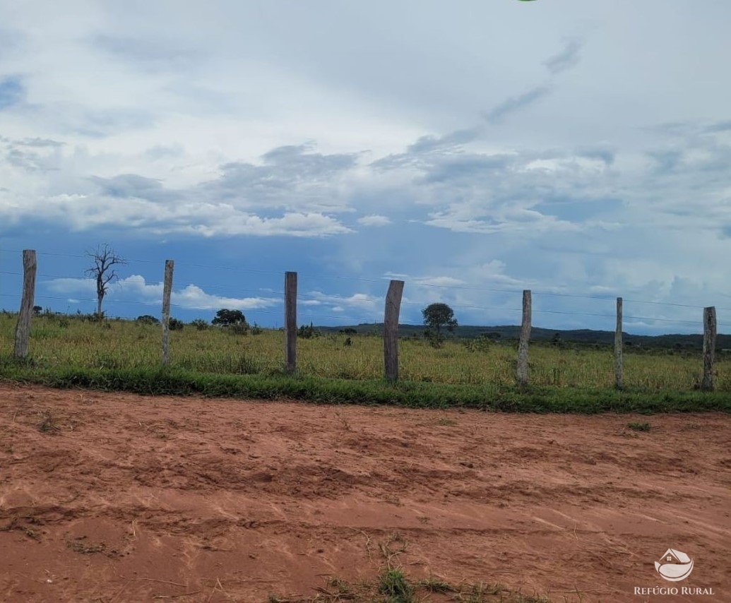 Fazenda à venda com 1 quarto, 22000000m² - Foto 6