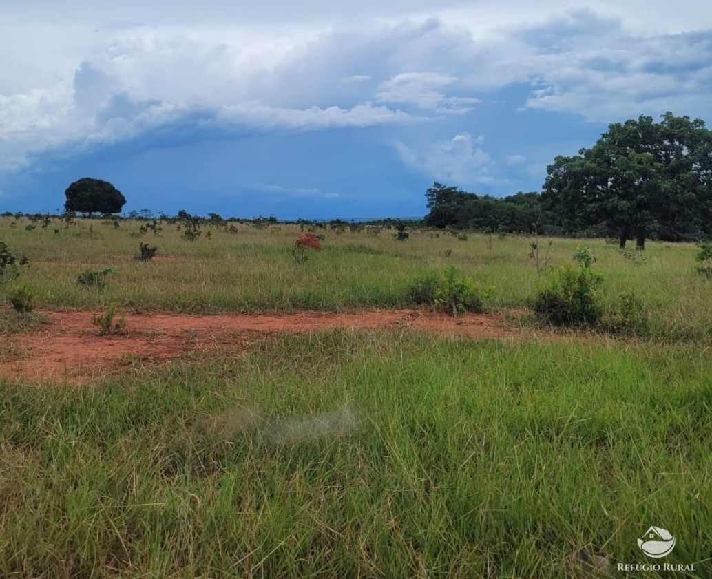 Fazenda à venda com 1 quarto, 22000000m² - Foto 5